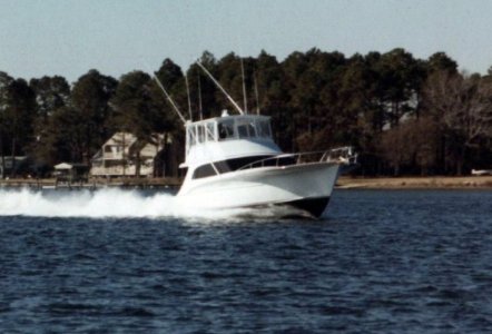 Jarrett Bay 57