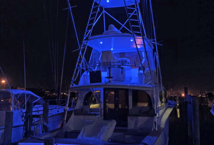 Jarrett Bay 54'