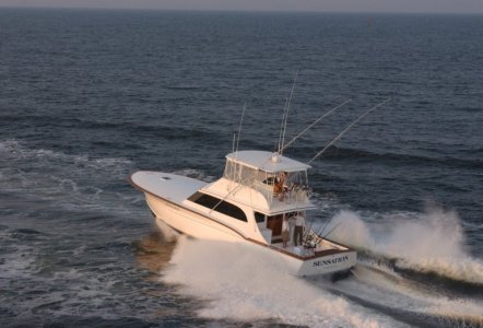 Jarrett Bay 58