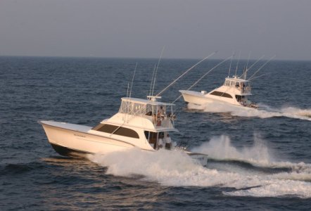 Jarrett Bay 58