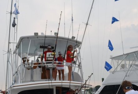 Chainlink wins 2011 Cape Fear Blue Marlin Tournament - photos courtesy CFBMT