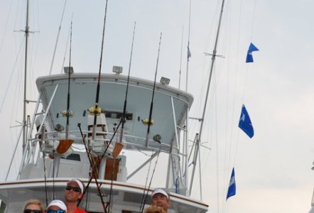 Chainlink wins 2011 Cape Fear Blue Marlin Tournament - photos courtesy CFBMT