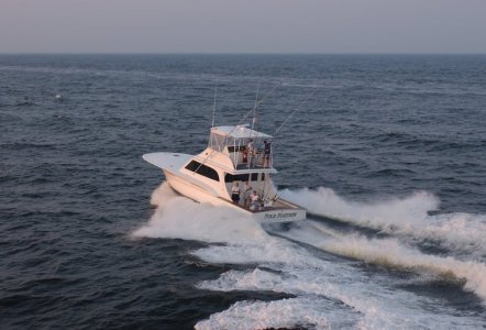 Jarrett Bay 54