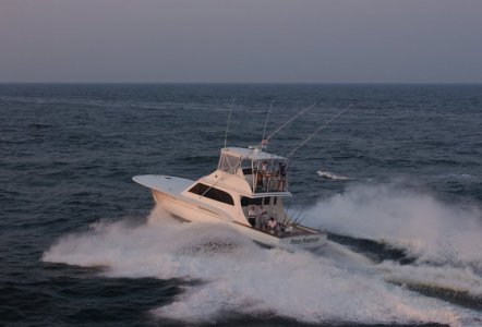 Jarrett Bay 54