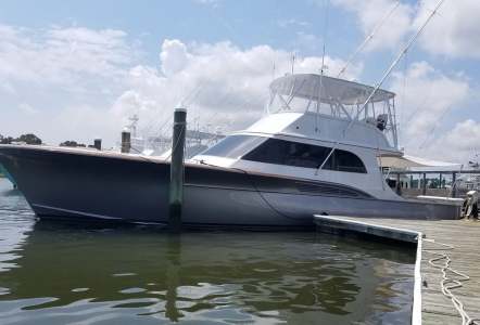 Jarrett Bay 55