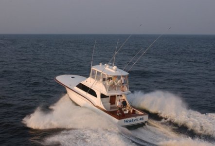 Jarrett Bay 55