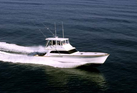 61' Sportfisherman