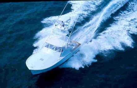 Jarrett Bay 38