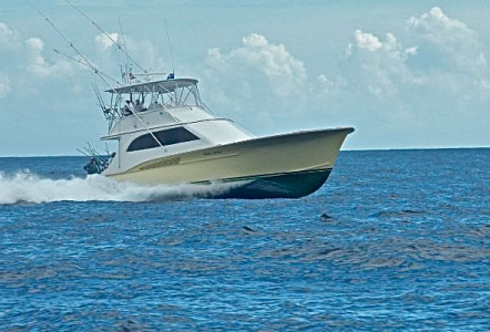 Jarrett Bay 55