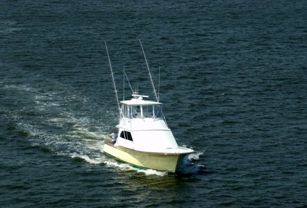 Jarrett Bay 55