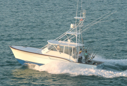 Jarrett Bay 41