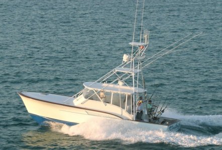 Jarrett Bay 41