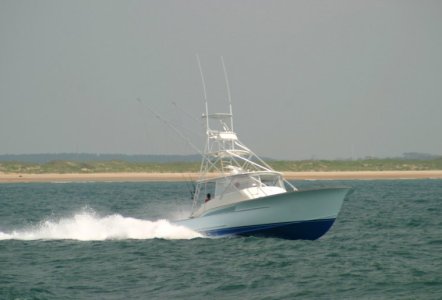 Jarrett Bay 41