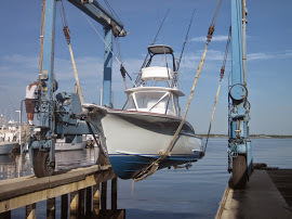 Jarrett Bay 32