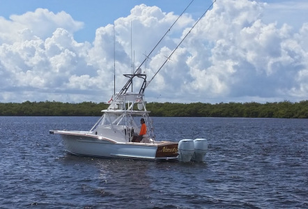 Jarrett Bay 32