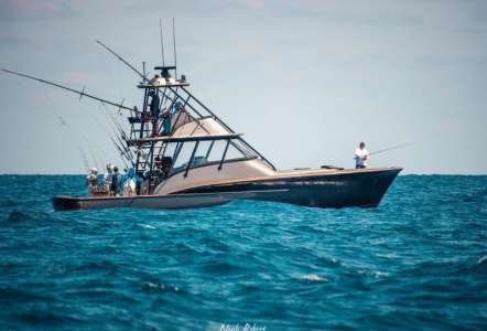 Flare Nation Toadfish Anchor - Jarrett Bay Boathouse