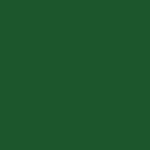 darkgreen-swatch