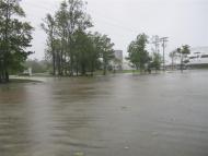 Jarrett Bay - Hurricane Irene