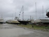 Jarrett Bay - Hurricane Irene