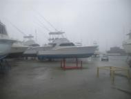 Jarrett Bay - Hurricane Irene