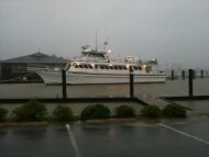 Jarrett Bay - Hurricane Irene