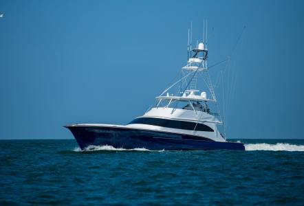 Jarrett Bay 84