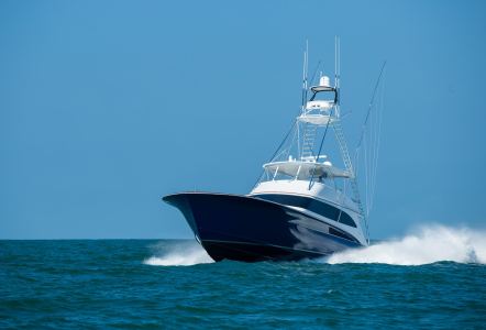 Jarrett Bay 84