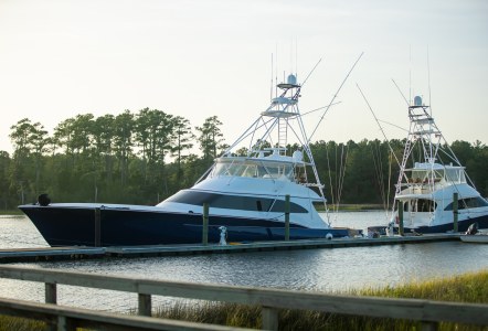 Jarrett Bay 84