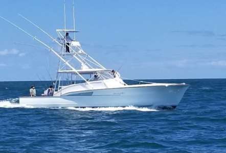 Jarrett Bay 46