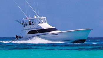 2007 Big Rock Blue Marlin Tournament Winners