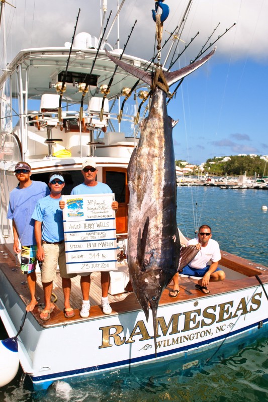 Rameseas' 544 lb blue marlin in Bermuda