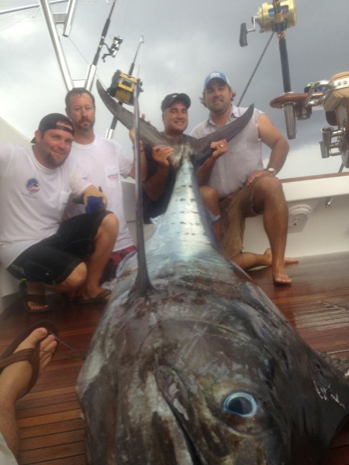 Whoo Dat Displaying their Blue Marlin Prowess in Northern Gulf