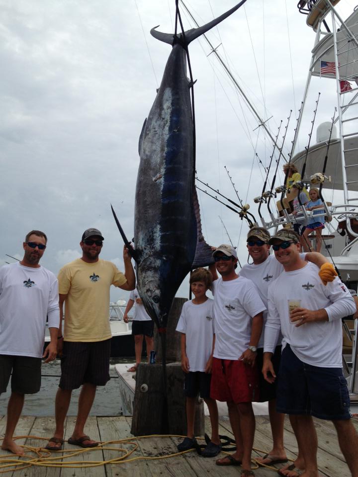 Whoo Dat - 705 lbs. blue marlin