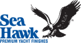 seahawk-paint