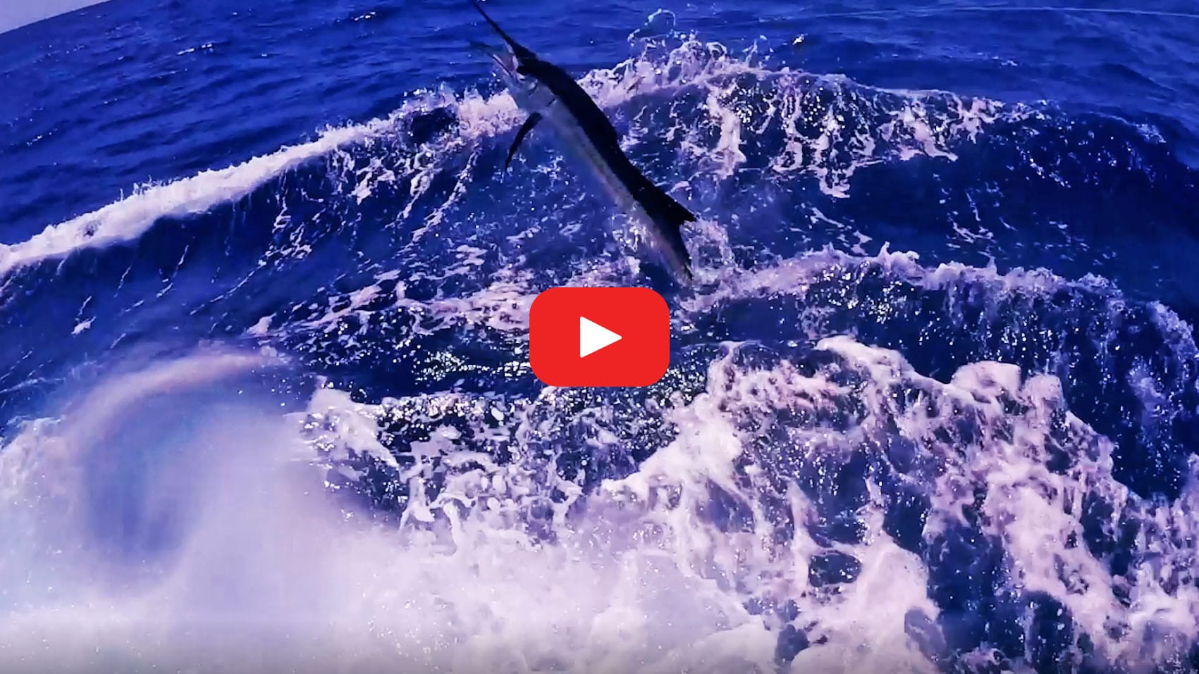 Get Ready for the 62nd Annual Big Rock Blue Marlin Tournament Jarrett